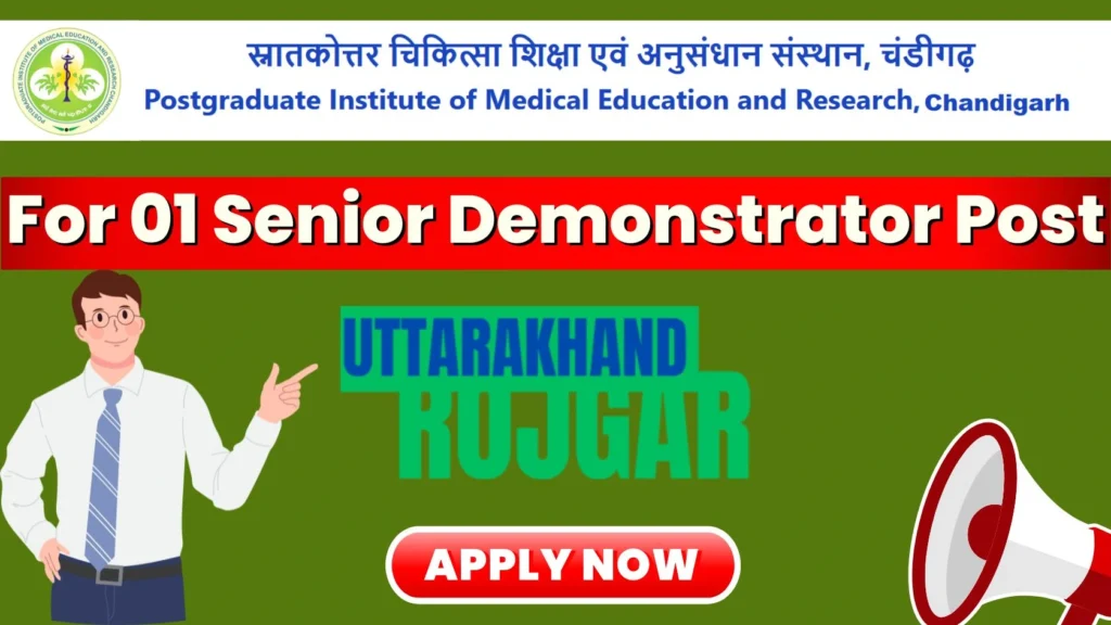 PGIMER Senior Demonstrator Recruitment 2024, How to Apply